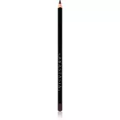 Anastasia Beverly Hills Lip Liner Cinnamon 1.49 g