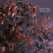 Eerie Wanda - Internal Radio (Limited Edition) (Lavender Coloured) (LP)