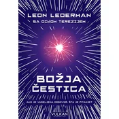 Božja cestica
