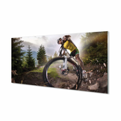 tulup.si Zidna obloga za kuhinju Cloud gorsko kolo 125x50 cm