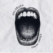 Gavin James - Goldrush (LP)