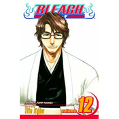 Bleach vol. 12