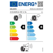 Ljetna DELINTE 215/60R16 TL 99V DS2 XL