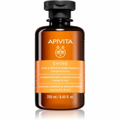 Apivita Holistic Hair Care Orange & Honey revitalizirajuci šampon za jacanje i sjaj kose 250 ml