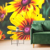 Fototapeta dvobarvni cvetovi - 490x330