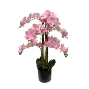 Umetna orhideja roza 80cm Eterna Real touch - roza - 76 do 100 cm - 31 do 50 cm