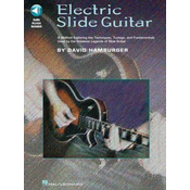 Electric Slide Guitar