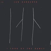Jan Garbarek - I Took Up The Runes (180 g) (LP)