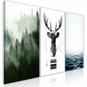 Slika - Chilly Nature (Collection) 120x60