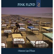 Pink Floyd - A Momentary Lapse of Reason (Reissue) (LP)