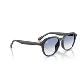 Ray-ban  UNISEX 0RB4459D 623019  Siva