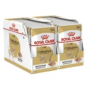 ROYAL CANIN ADULT ČIVAVA vrečka s pašteto 24 x 85 g