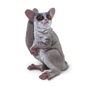 Safari Galago klipan