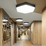 XAL HEX-O 1000 LED stropna svetilka, 100x86,6cm, črna - Študija/pisarna - Sodobni - črna (RAL9005) - Kovina