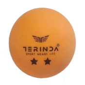 Žogice za namizni tenis - Two star