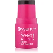 essence WHAT A TINT! večnamensko ličilo za ustnice in lica odtenek 10 Raspberry Vibes 5 g