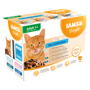 36 + 12 gratis! 48x85 g IAMS mokra mačja hrana - Delights Adult: Sea Mix v omaki