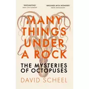 Many Things Under a Rock
