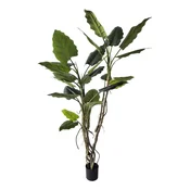Umetna rastlina (višina 190 cm) Alocasia – Bizzotto