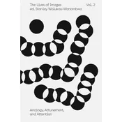 The Lives of Images, Vol. II: Analogy, Attunement, and Attention