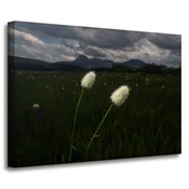 shumee Platno z vzorcem Narava Divje rože 70x50 cm
