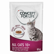 Concept for Life All Cats 10+ - v želeju - Varčno pakiranje: 48x85 g