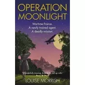 Operation Moonlight