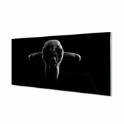 tulup.si Slika na akrilnem steklu Ženski črno-belo 100x50 cm 4 obešalnika