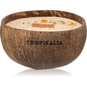 Tropicandle Sandalwood & Tangerine dišeča sveča z lesenim stenjem 350 ml