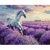 Rayher. Slikanje po številkah, In the lavender fields