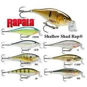Vobler Rapala Shallow Shad Rap SSR07