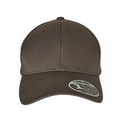 Flexfit 110 Curved Visor Snapback Dark Grey