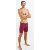 Mens swimsuit finis jammer solid cabernet 26