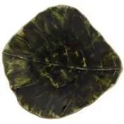 Posodica za pomake Costa Nova Leaf Riviera 11 cm, temno zelena
