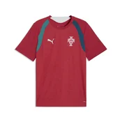 PUMA Portugal Slim Training Jersey Men, Football, Club Red/Silver Mist, XS