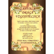PRIZNANJE VZGOJITELJICA