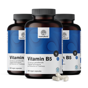Vitamin B5 500 mg, 240 kapsul