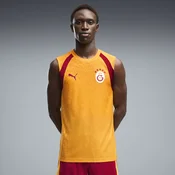 PUMA Galatasaray S.K. Slim Training Jersey Men, Clothing, Summer Sunset/Dark Cherry, XL