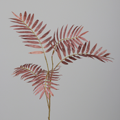 Umetna veja Paradise 80cm svetlo rjava