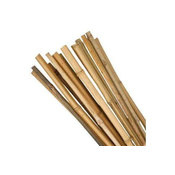 Ostatní Bambusova palica Euro tools 145444 Bamboo stick, diameter 1- 1.5 cm, length 30 cm