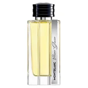 Vetiver Glacier parfumska voda v spreju 125 ml