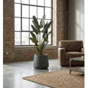 Umetna strelicija Pure 180 cm - 151-180 cm