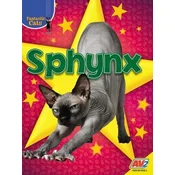 Sphynx