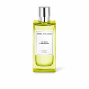 Angel Schlesser Moški parfum Angel Schlesser LES EAUX DUN INSTANT 100 ml