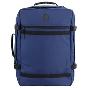 Discovery D0040049 pisana