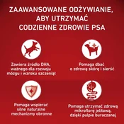 Purina One Junior Piščanec z rižem, suha hrana za mladiče pasem srednje in velike rasti, 2,5kg