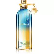 Montale Aoud Lagoon parfumska voda uniseks 100 ml