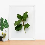 Wallity Zidna dekoracija BC7406288861, 24 x 29 cm, Šarena