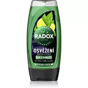 Radox Men Feel Strong gel za tuširanje i šampon 2 u 1 Mint & Tea Tree 250 ml