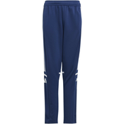 Hlače adidas SQ25 TR PNT Y